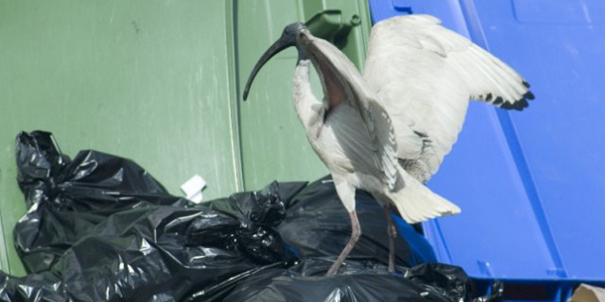 Article Picture