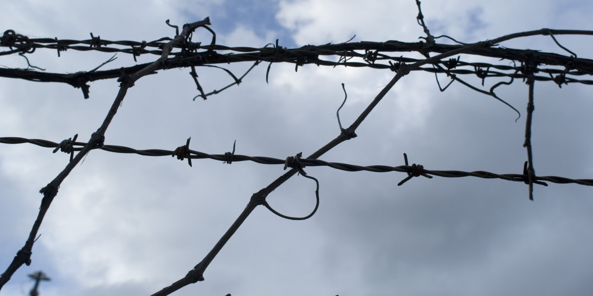 Coolzino Casino Website: Top Slots and Games Await!