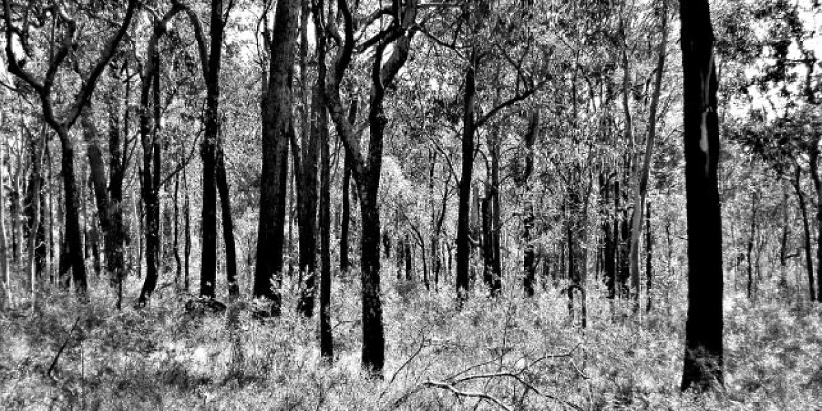 Our 4 Favorite Adelaide 5 Star Casino Hotels, Australia in 2025