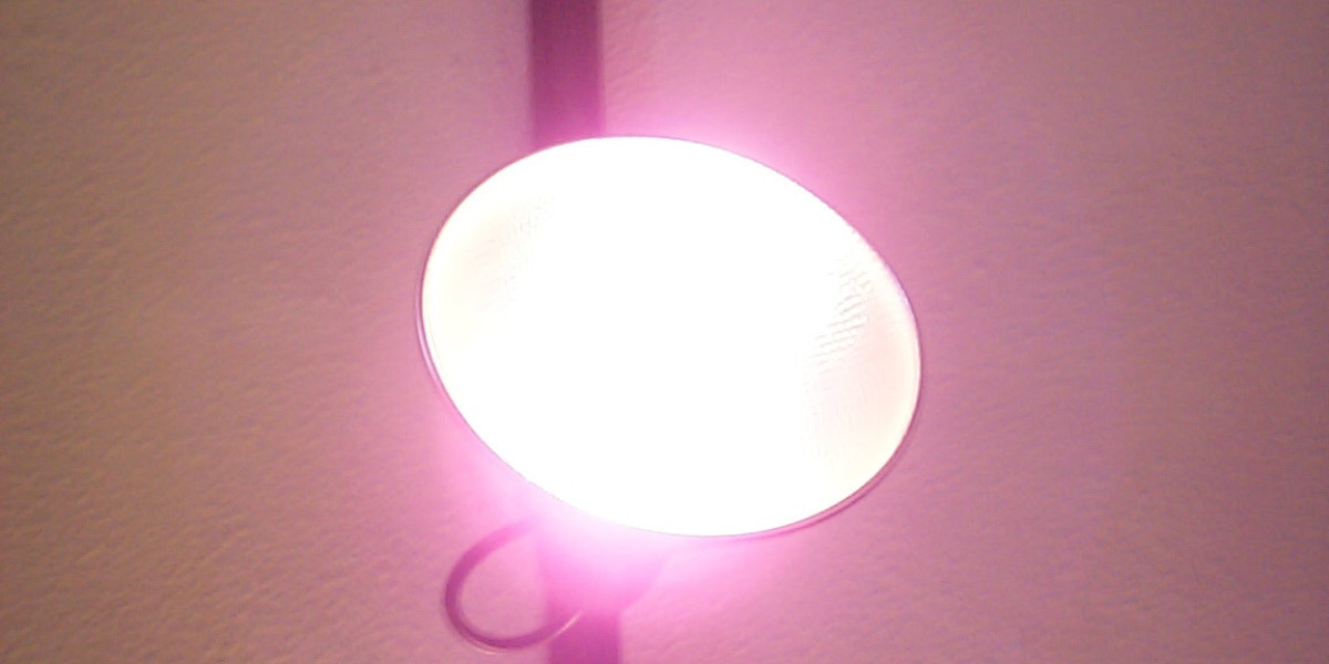 Your Real Money Destination for Online Fun