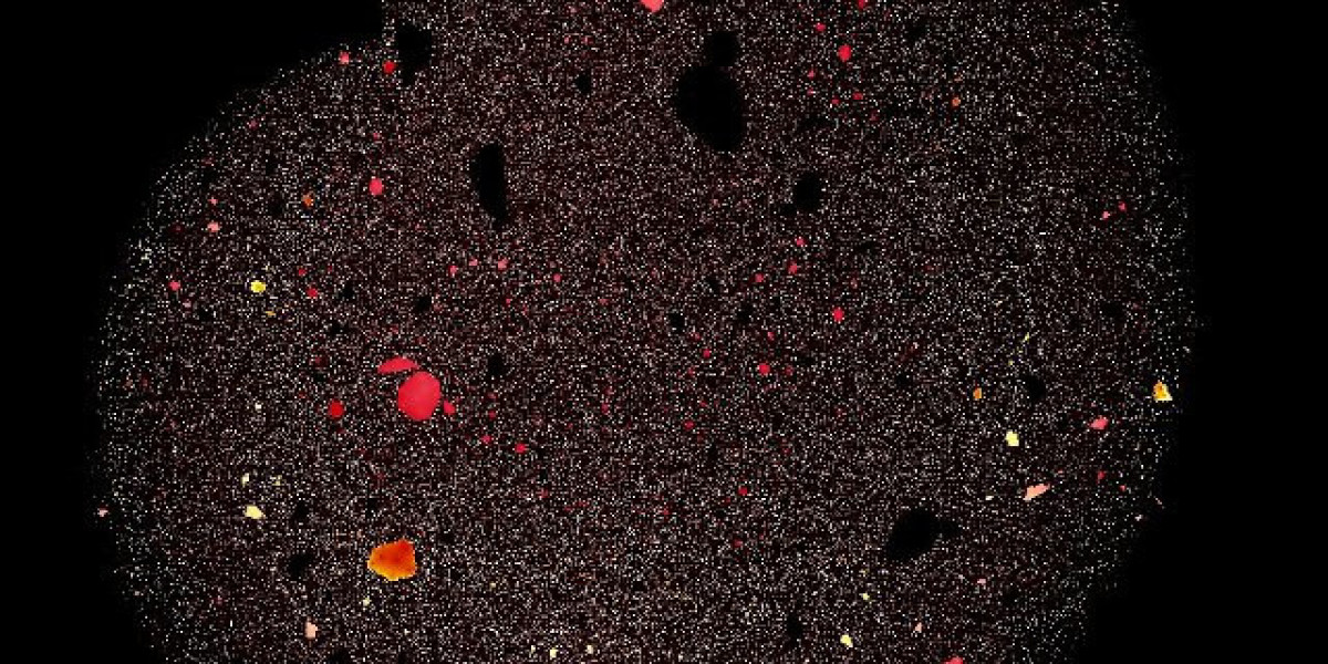 Bizzo Casino Review ᐈ Login & Get AU$ 1000 + 150 Free Spins Bonus