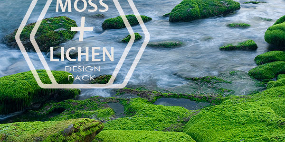 Best Plinko Gambling Sites for 2025 Top Picks