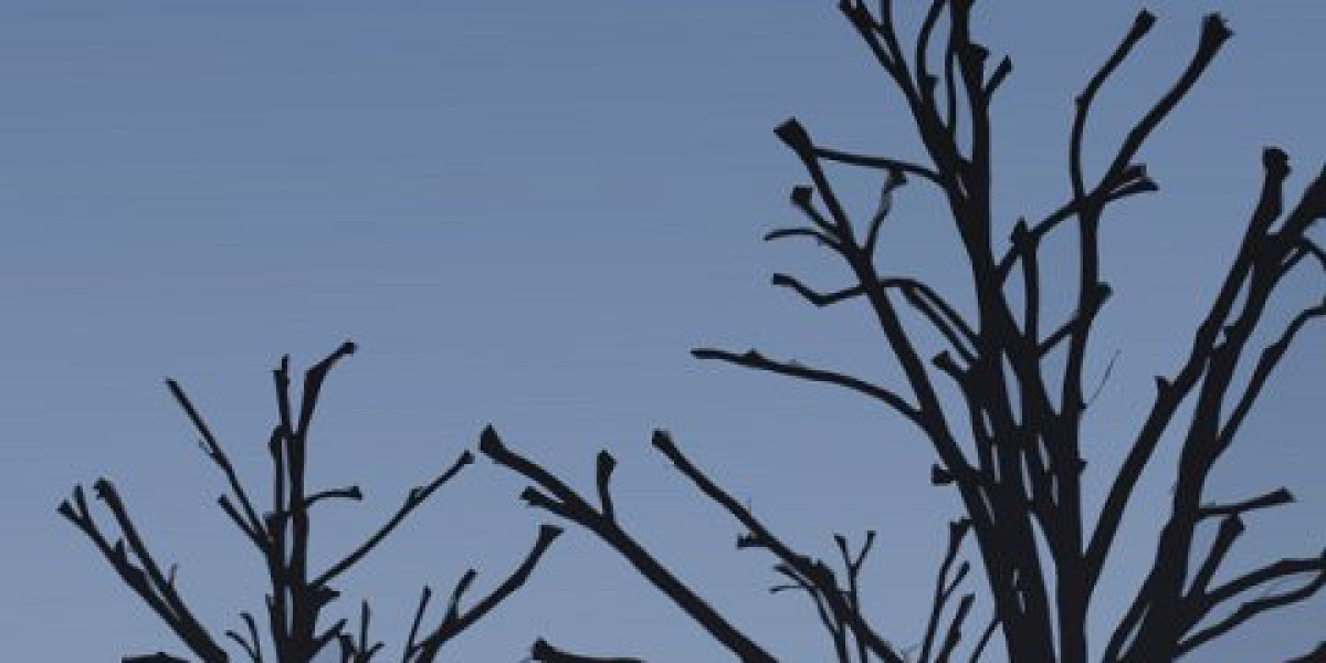 Wrest Point Hobart Waterfront Luxury & Entertainment