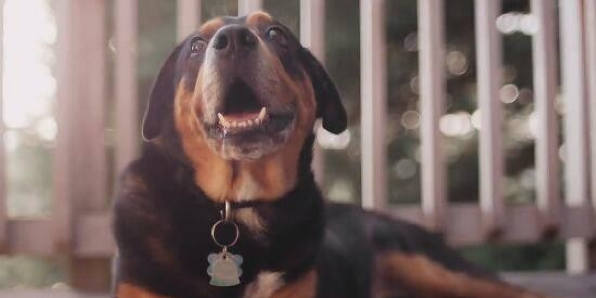 NNL Imposes Sanctions on Gateway United FC for Security Breach