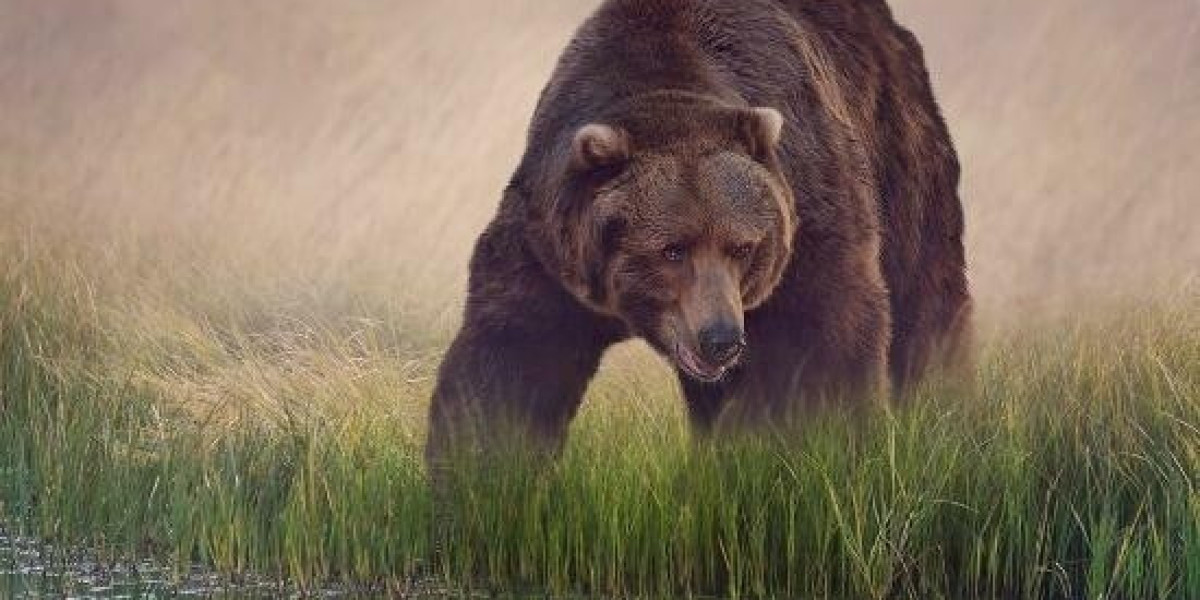 The Shoulder Seasons are Likewise Incredible